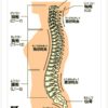 肩コリ・背中の痛み (演奏する時の体の痛み)